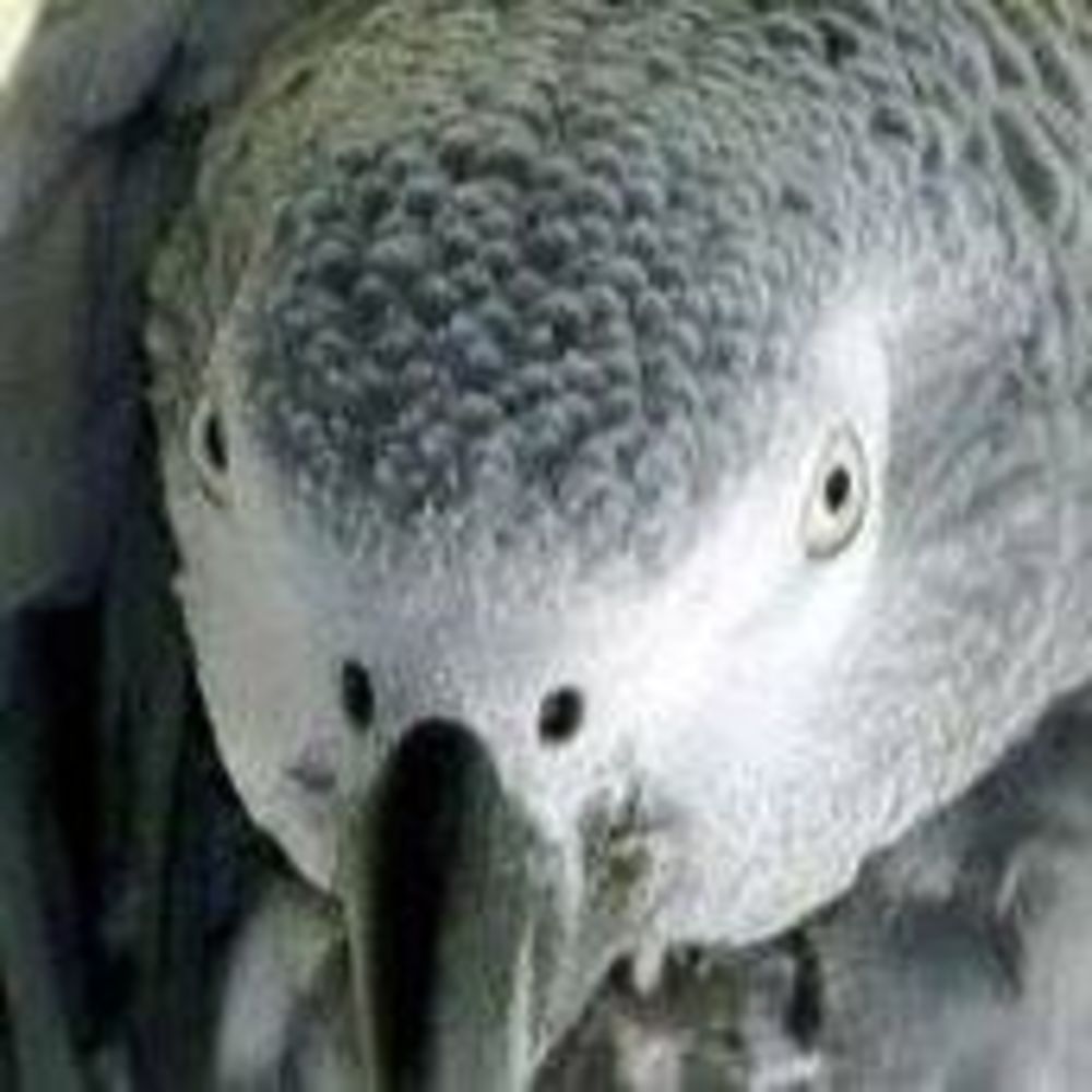 Meet your Posher, Sandy